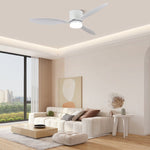 Aerodynamics Wooden Ceiling Fan Light 25027483