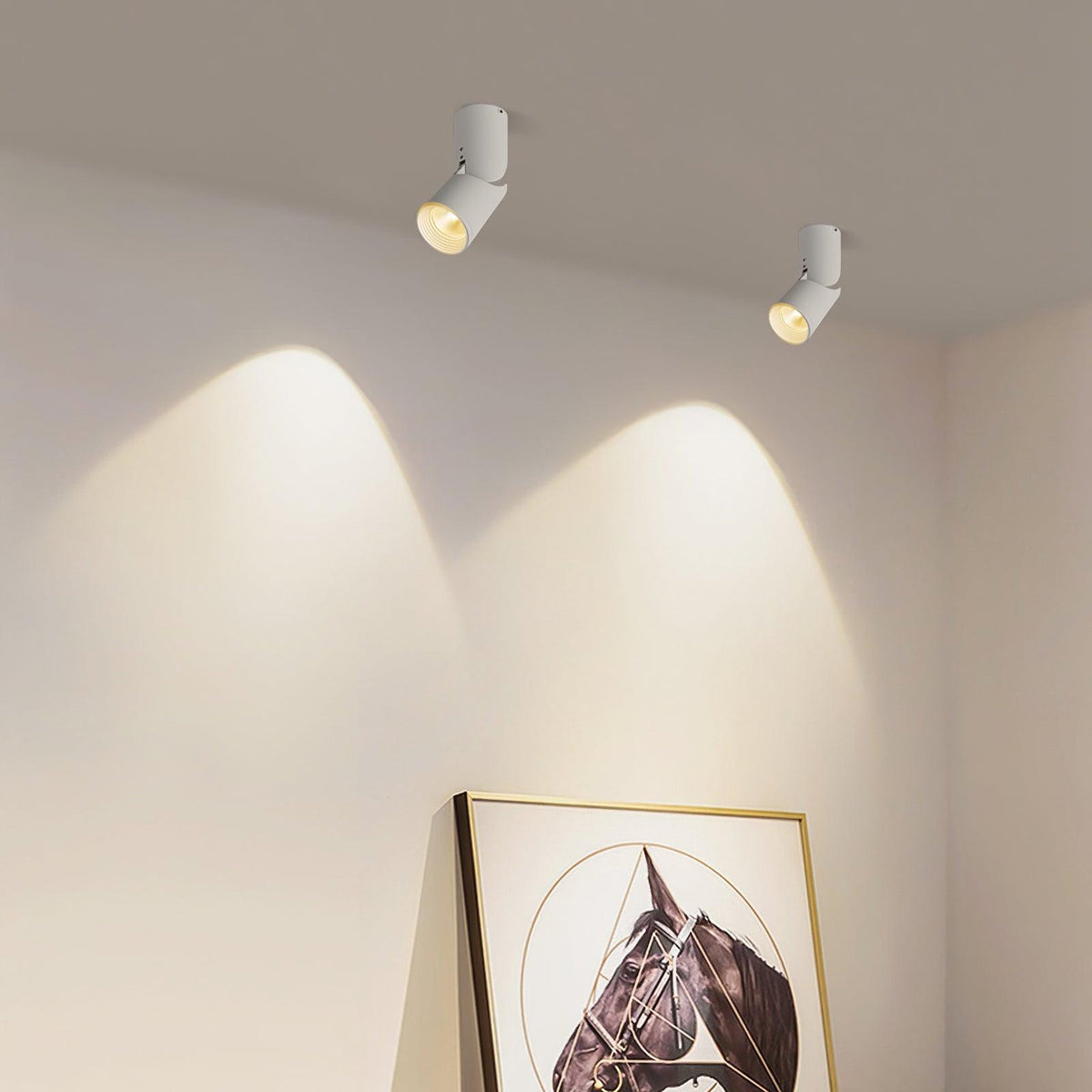 Sunny Led Spotlights