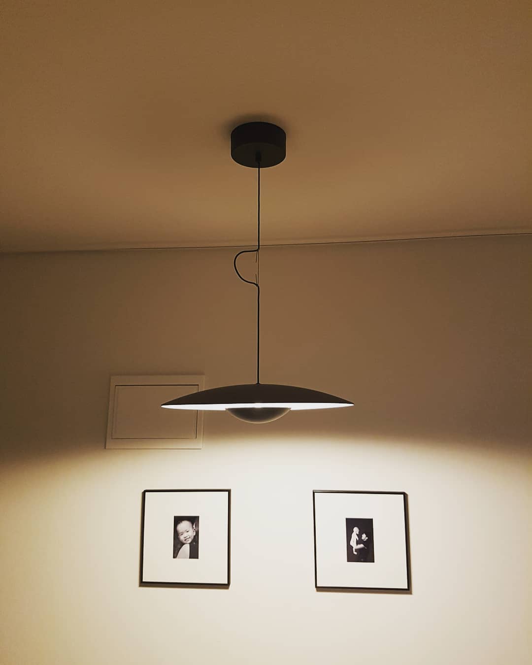 Ginger Wilbur Hanging Lamp