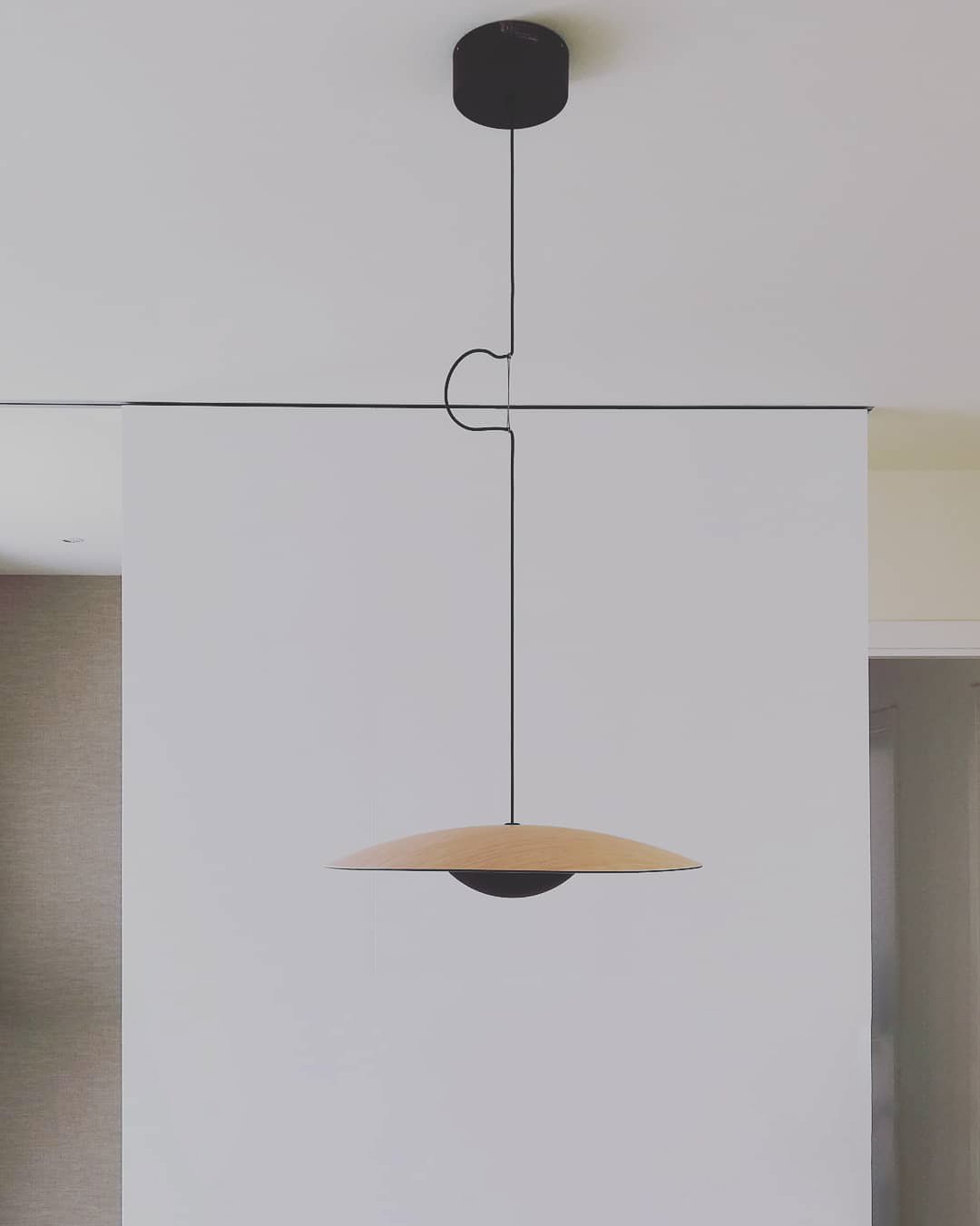 Ginger Wilbur Hanging Lamp