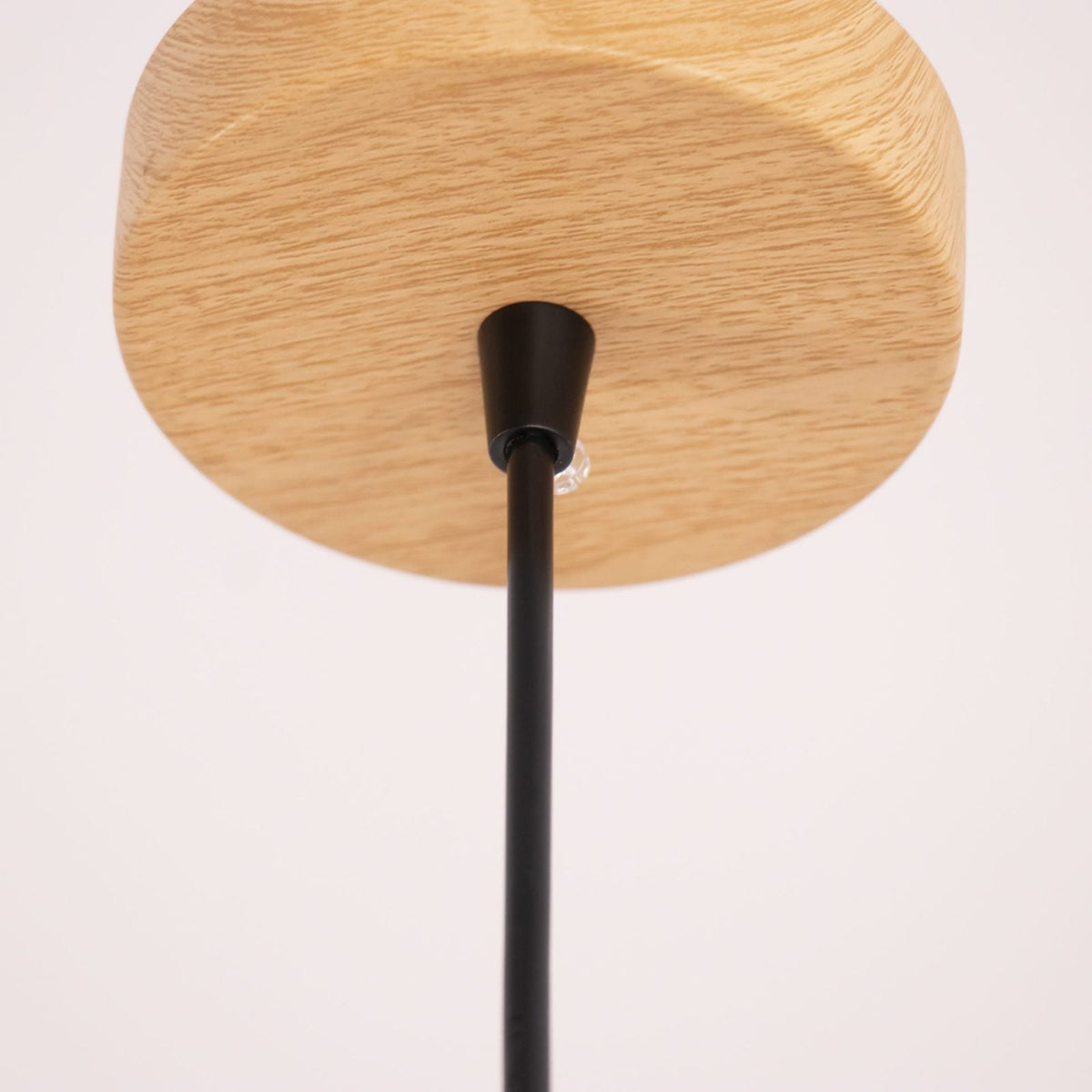 Ginger Wilbur Hanging Lamp