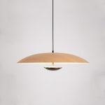 Ginger Wilbur Hanging Lamp