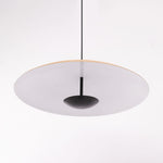 Ginger Wilbur Hanging Lamp