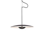 Ginger Wilbur Hanging Lamp