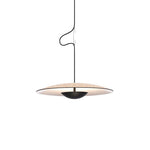 Ginger Wilbur Hanging Lamp