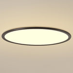 Lighting Ceiling Lights Flush Mount Lighting_Tli00222