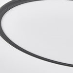 Lighting Ceiling Lights Flush Mount Lighting_Tli00222
