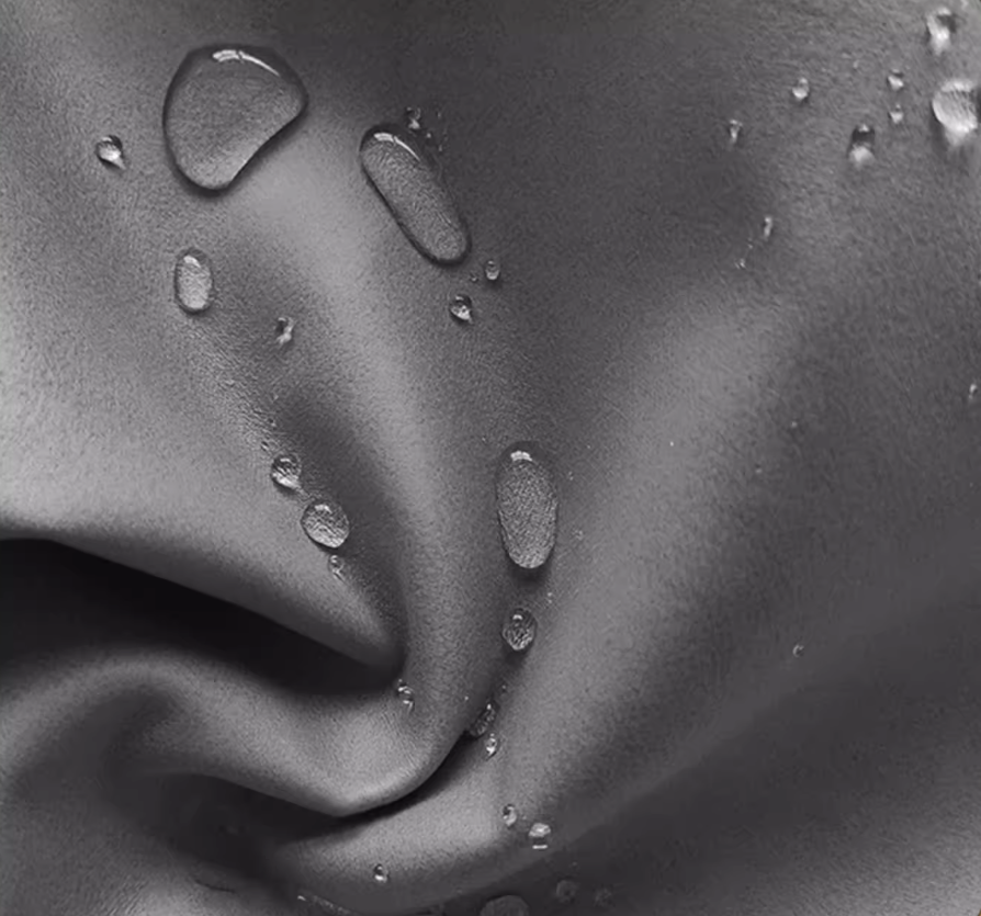 CozyEazy Water-Repellent Sofa Cover