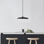 Lighting Ceiling Lights Pendant Lighting_3Ycvt