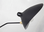 rotating-arm-duckbill-wall-light