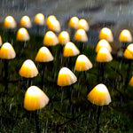 Outdoor Mini Mushroom Rgb Solar 16 40 Ft String Lights