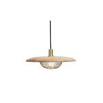 Kasa Hanging Ceiling Light