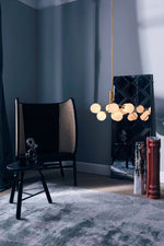 Apiales Hanging Light Fixture