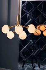 Apiales Hanging Light Fixture