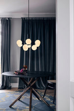 Apiales Hanging Light Fixture