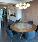 Apiales Hanging Light Fixture