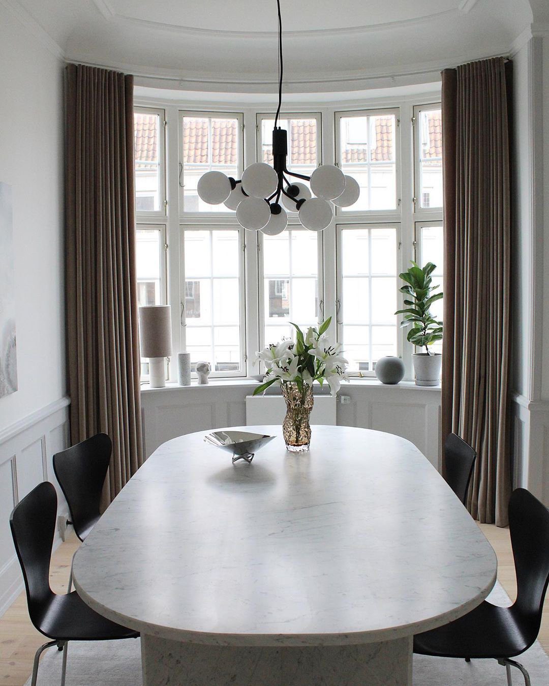 Apiales Hanging Light Fixture
