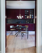 Apiales Hanging Light Fixture