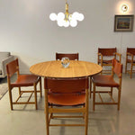 Apiales Hanging Light Fixture