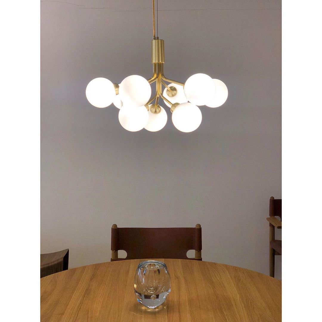 Apiales Hanging Light Fixture