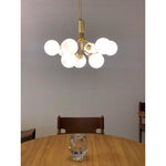 Apiales Hanging Light Fixture