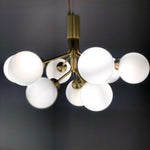 Apiales Hanging Light Fixture
