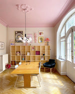 Apiales Hanging Light Fixture