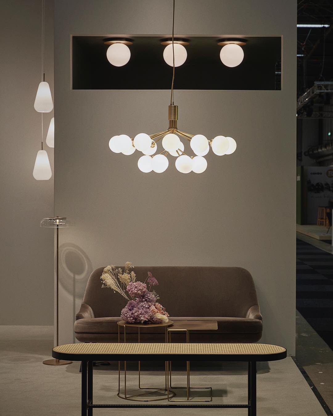 Apiales Hanging Light Fixture