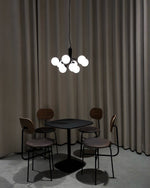 Apiales Hanging Light Fixture
