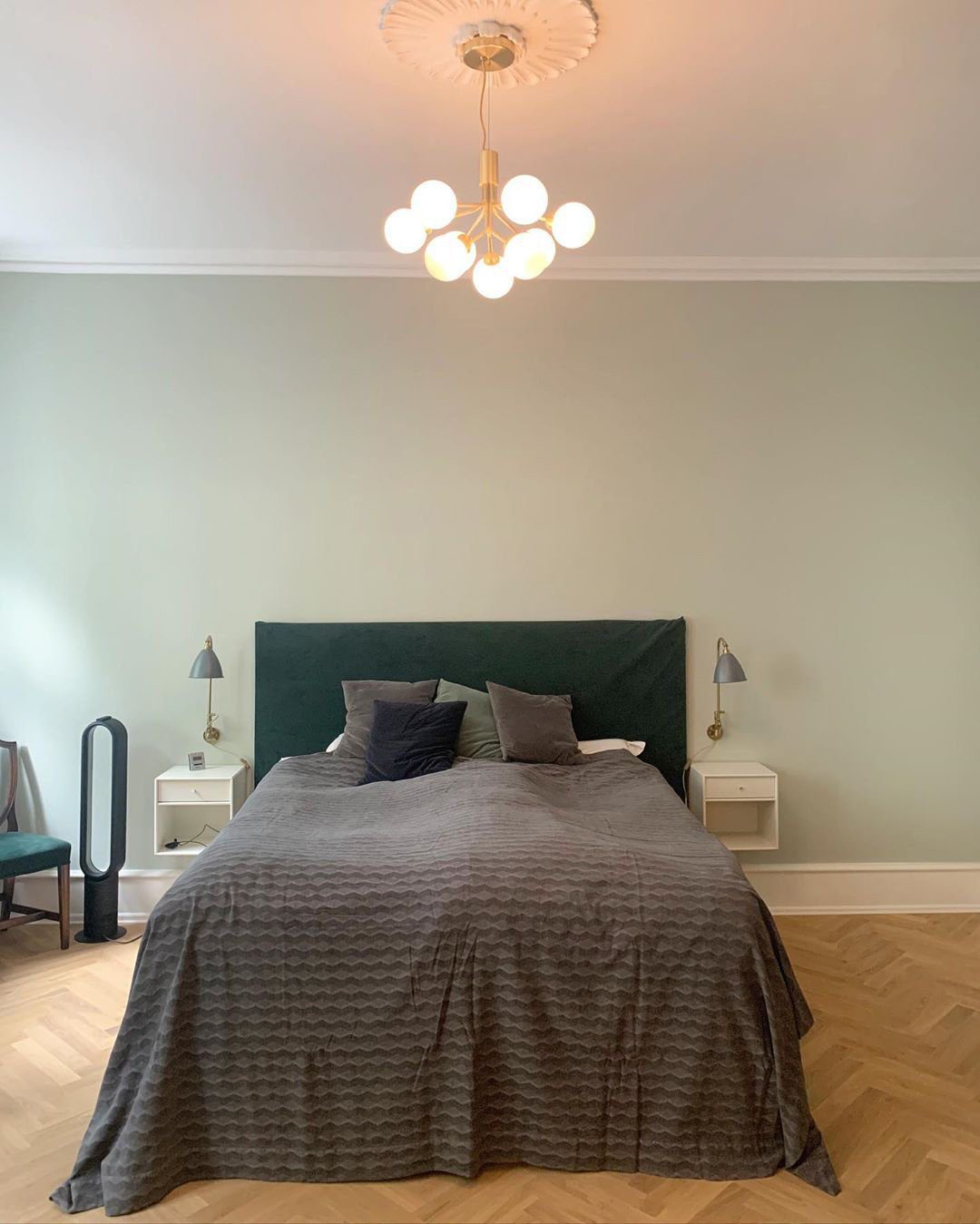 Apiales Hanging Light Fixture
