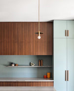Avida Hanging Light Fixture