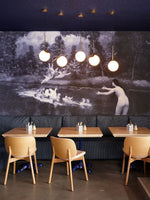 Artemide Suspension Light Fixtu