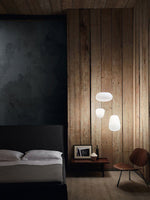 Rituals Hanging Fixture