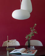 Rituals Hanging Fixture