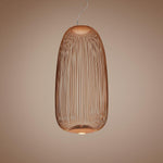 Spoke Suspension Pendant Light