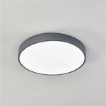 Lighting Ceiling Lights Flush Mount Lighting_3Xte8