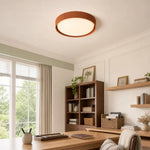 modern-minimalist-acrylic-led-flush-mount