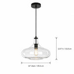 industrial-gourd-glass-shade-pendant-light
