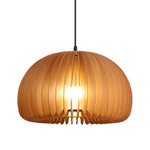 Pumpkin Shaped Pendant Light Li001916
