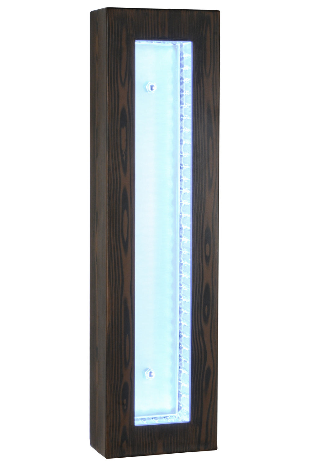LED Wall Sconce