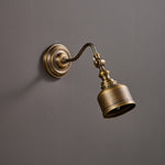 addison-gooseneck-wall-lamp