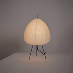 Xuanzhi Table Lamp