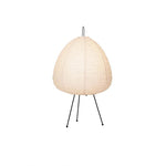 Xuanzhi Table Lamp