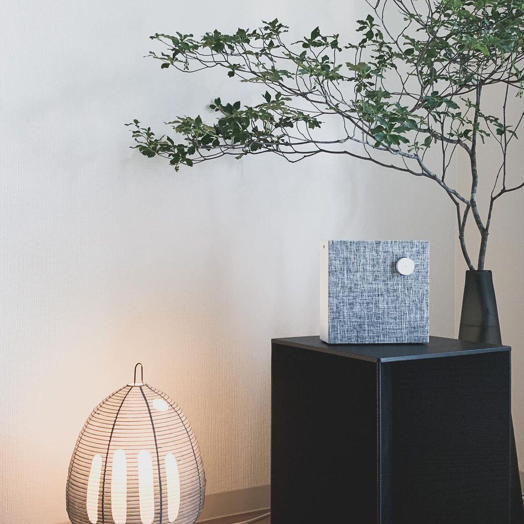 Xuanzhi Table Lamp