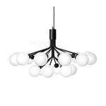 Apiales Hanging Light Fixture