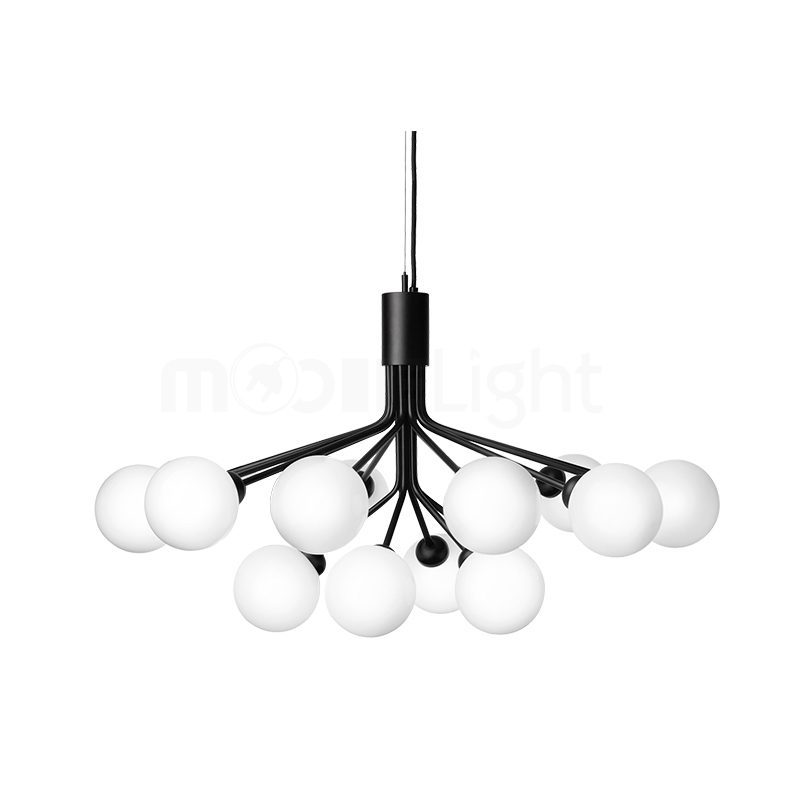Apiales Hanging Light Fixture