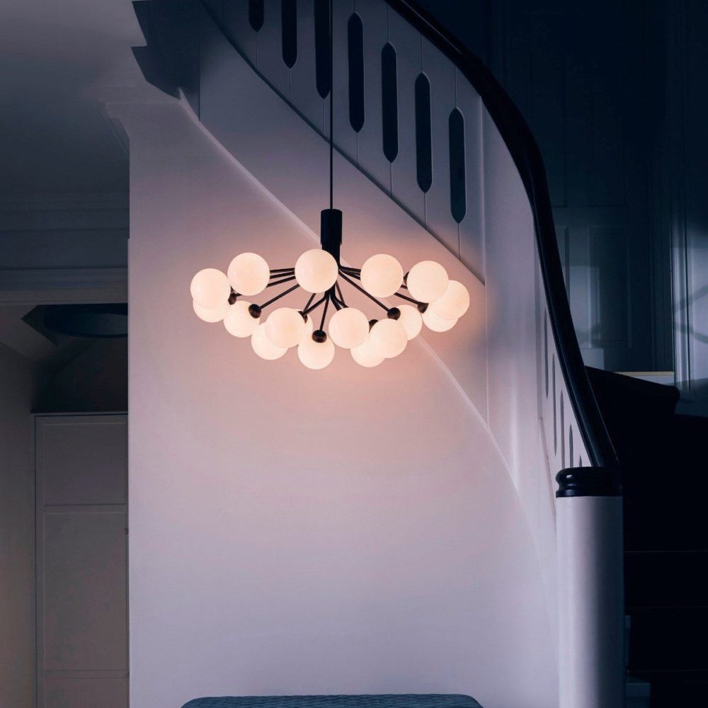 Apiales Hanging Light Fixture