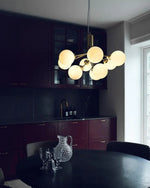 Apiales Hanging Light Fixture