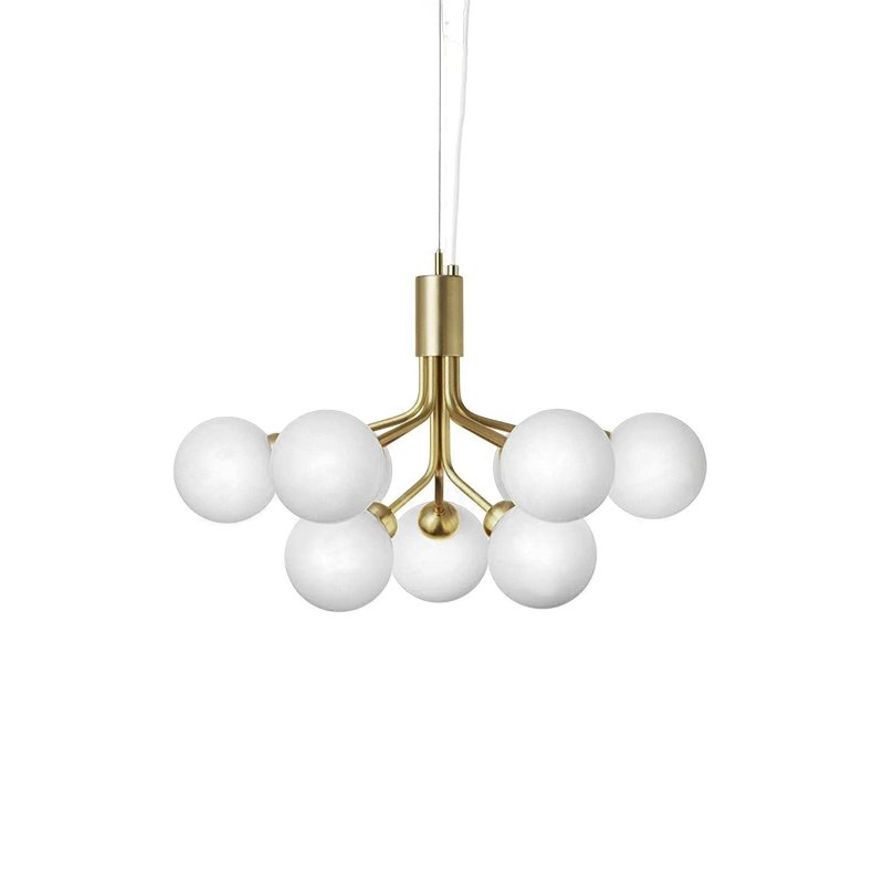Apiales Hanging Light Fixture
