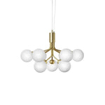 Apiales Hanging Light Fixture
